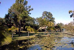 Theebine QLD Taree Accommodation