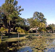 Twin Lakes Hotel - Taree Accommodation