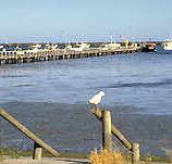 Seaview Motel and Holiday Units - Taree Accommodation