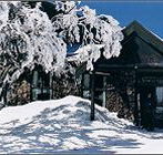 Arlberg Hotel Mt Buller - Taree Accommodation
