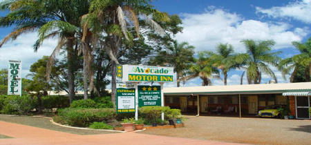 Avocado Motor Inn - Taree Accommodation 0