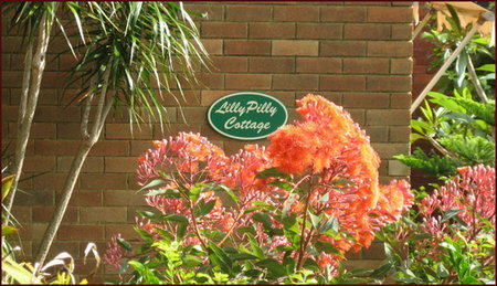 Balgowlah NSW Taree Accommodation