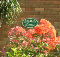 Lillypilly - Taree Accommodation