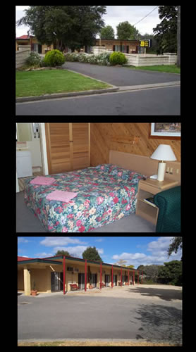 Ace Swan Motel - Taree Accommodation 0