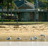 Best Western Coastal Waters Motor Inn - Taree Accommodation