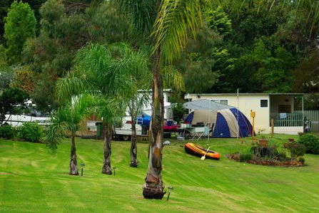 Albany Happy Days Caravan Park - Taree Accommodation 2