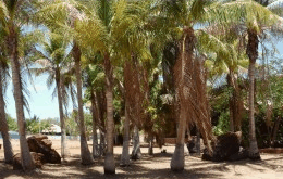 King Sound Resort Hotel - Taree Accommodation