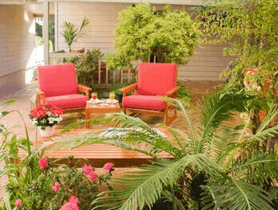 Adamsons Riverside Accommodation - Taree Accommodation 1