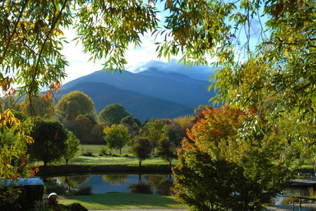 Dreamers Spa Resort - Taree Accommodation 4