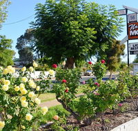 Narrogin Motel - Taree Accommodation