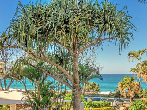 AA Oceana On Broadbeach - Taree Accommodation 17