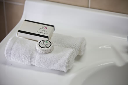 Cumberland Motor Inn - Taree Accommodation 7