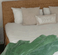 Caledonian Inn - Taree Accommodation