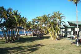 BIG4 Bowen Coral Coast Beachfront Holiday Park - Taree Accommodation 0