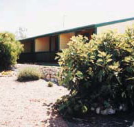 The Fig Tree Bed  Breakfast - Taree Accommodation