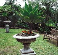 Bangalow Retreat - Taree Accommodation