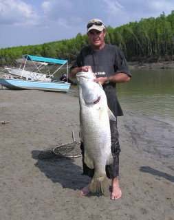 Dundee Forest NT Taree Accommodation