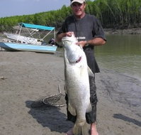 Dundee Downs Bush Resort - Taree Accommodation