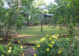 Dundee Downs Bush Resort - Taree Accommodation 4