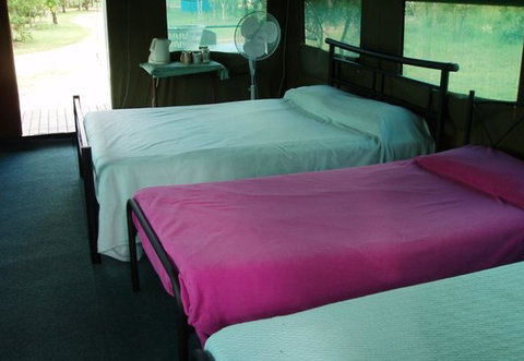 Litchfield Safari Camp - Taree Accommodation 2