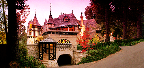 Thorngrove Manor - Taree Accommodation