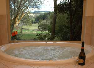 Adelaide Hills Country Cottages - The Nest - Taree Accommodation 0
