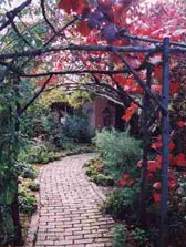 Adelaide Hills Country Cottages - The Nest - Taree Accommodation 2