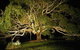 Adelaide Hills Country Cottages - The Nest - thumb 4