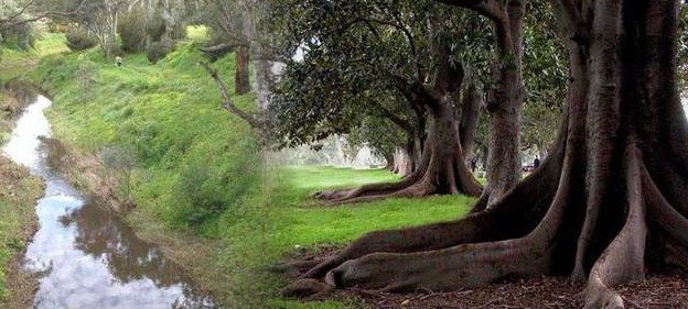 Gawler SA Taree Accommodation