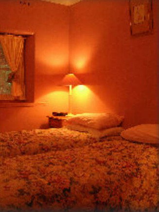 Peppertree - Mintaro - Taree Accommodation 2