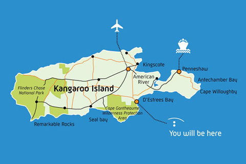 BlueSeas Beach House - Taree Accommodation 5