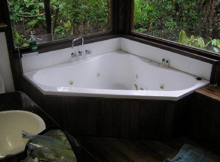 The Canopy Rainforest Tree Houses And Wildlife Sanctuary - Taree Accommodation 0