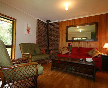The Canopy Rainforest Tree Houses And Wildlife Sanctuary - Taree Accommodation 1