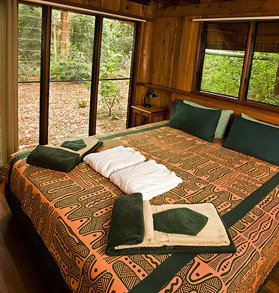 The Canopy Rainforest Tree Houses And Wildlife Sanctuary - Taree Accommodation 2