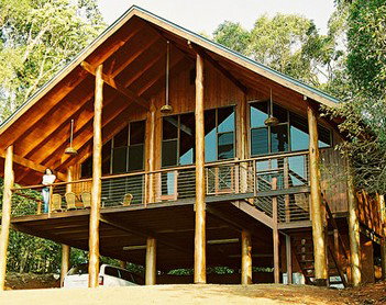 The Canopy Rainforest Tree Houses And Wildlife Sanctuary - Taree Accommodation 4