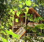 Rivers Edge Rainforest Retreat - Taree Accommodation