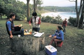 Fortescue Bay Camping Ground - Taree Accommodation 0
