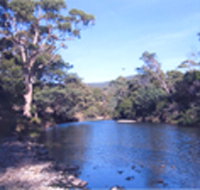 Douglas River Cabin - Taree Accommodation