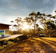 Bruny Island Experience - Taree Accommodation