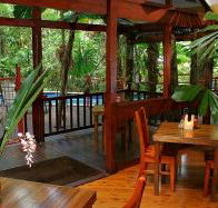 Daintree Wilderness Lodge - Taree Accommodation