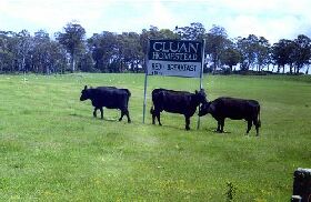 Cluan Homestead - The Managers Residence - Taree Accommodation 0