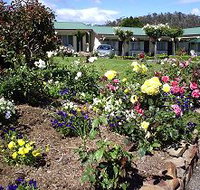 Wintersun Gardens Motel - Taree Accommodation