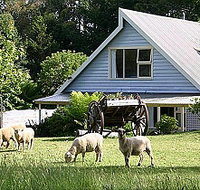 Hide-Away Cottage Retreat - Taree Accommodation