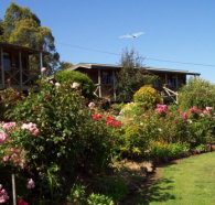 Mole Creek Holiday Village - Taree Accommodation