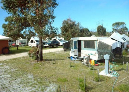 Scamander Sanctuary Caravan Park - Taree Accommodation 2