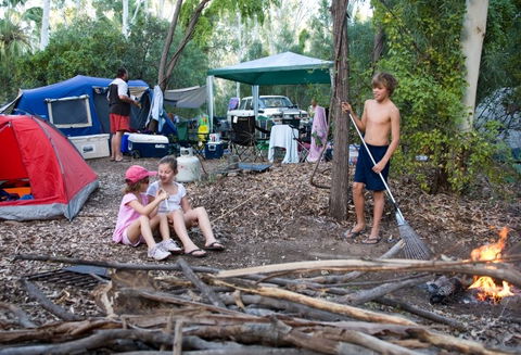 Adels Grove Camping Park - Taree Accommodation 1