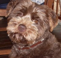 Lagoon Pocket Bed and Breakfast - Taree Accommodation