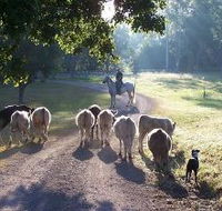 Brooloo Park - Taree Accommodation