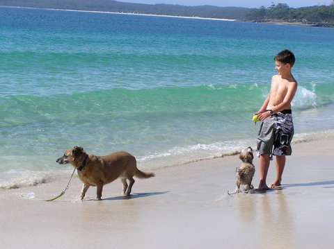 A Paradise Bungalow Waterfront - Taree Accommodation 1