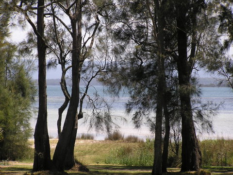 A Paradise Bungalow Waterfront - Taree Accommodation 5